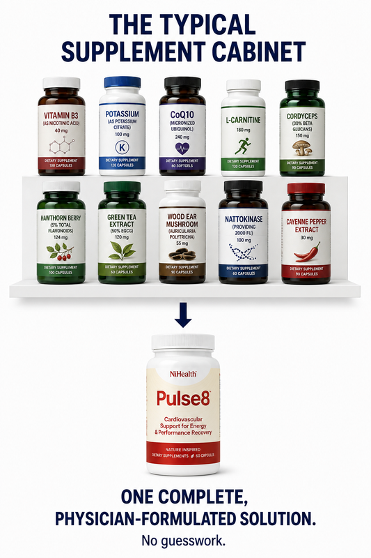 Pulse8: Circulation & Cardiovascular Support